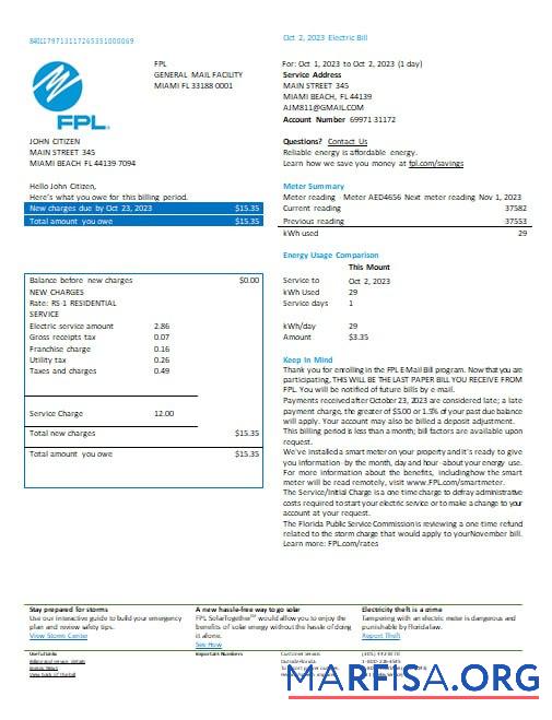 Downloadable USA Florida FPL electricity utility bill Word and PDF formats, version 2 download for verification